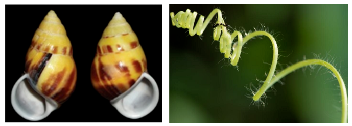 1593758011798553.png image.png