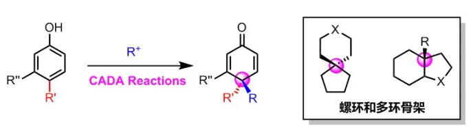 1593758031334434.png image.png